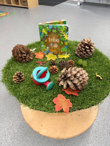 Nature interest table